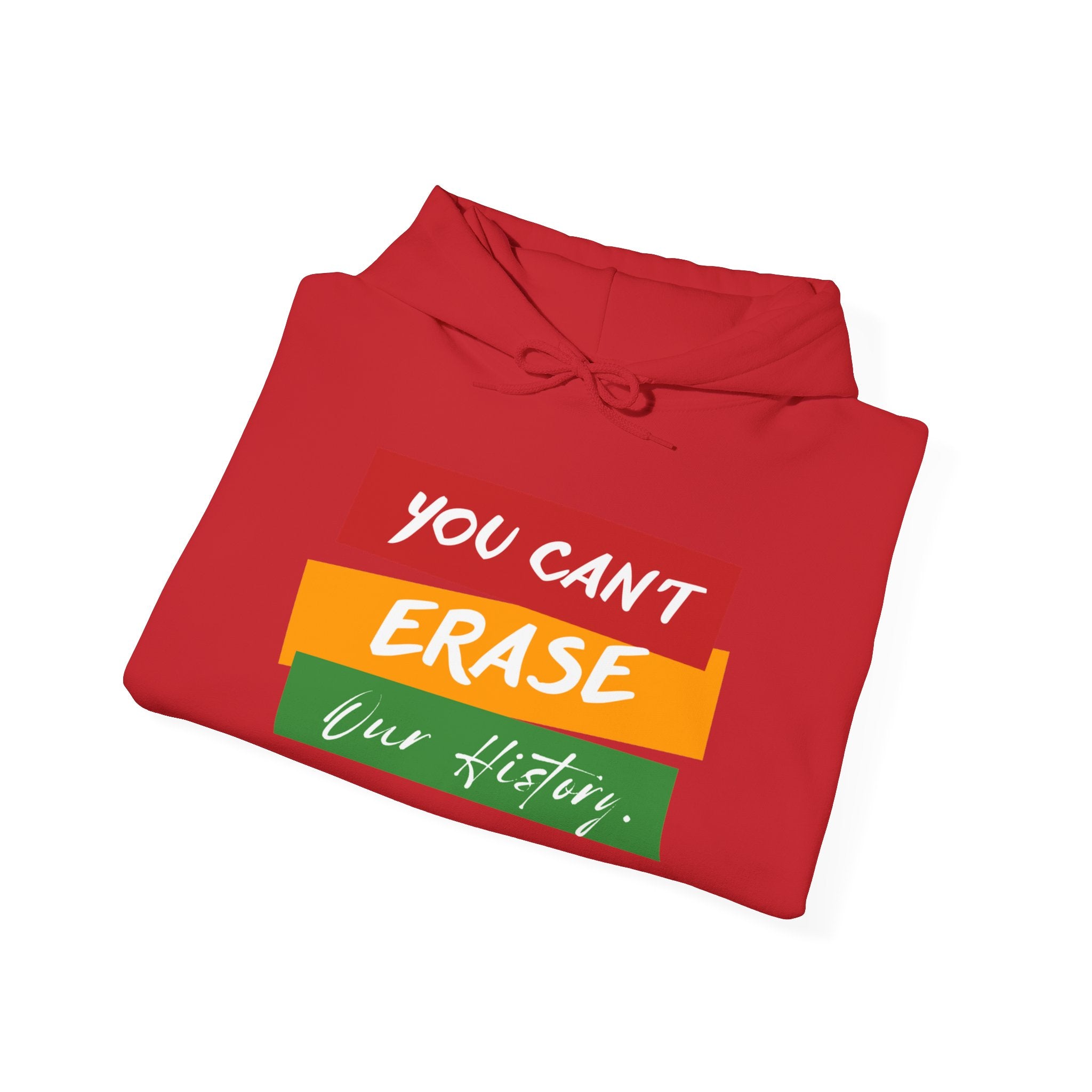 Can't Erase Our History Hoodie