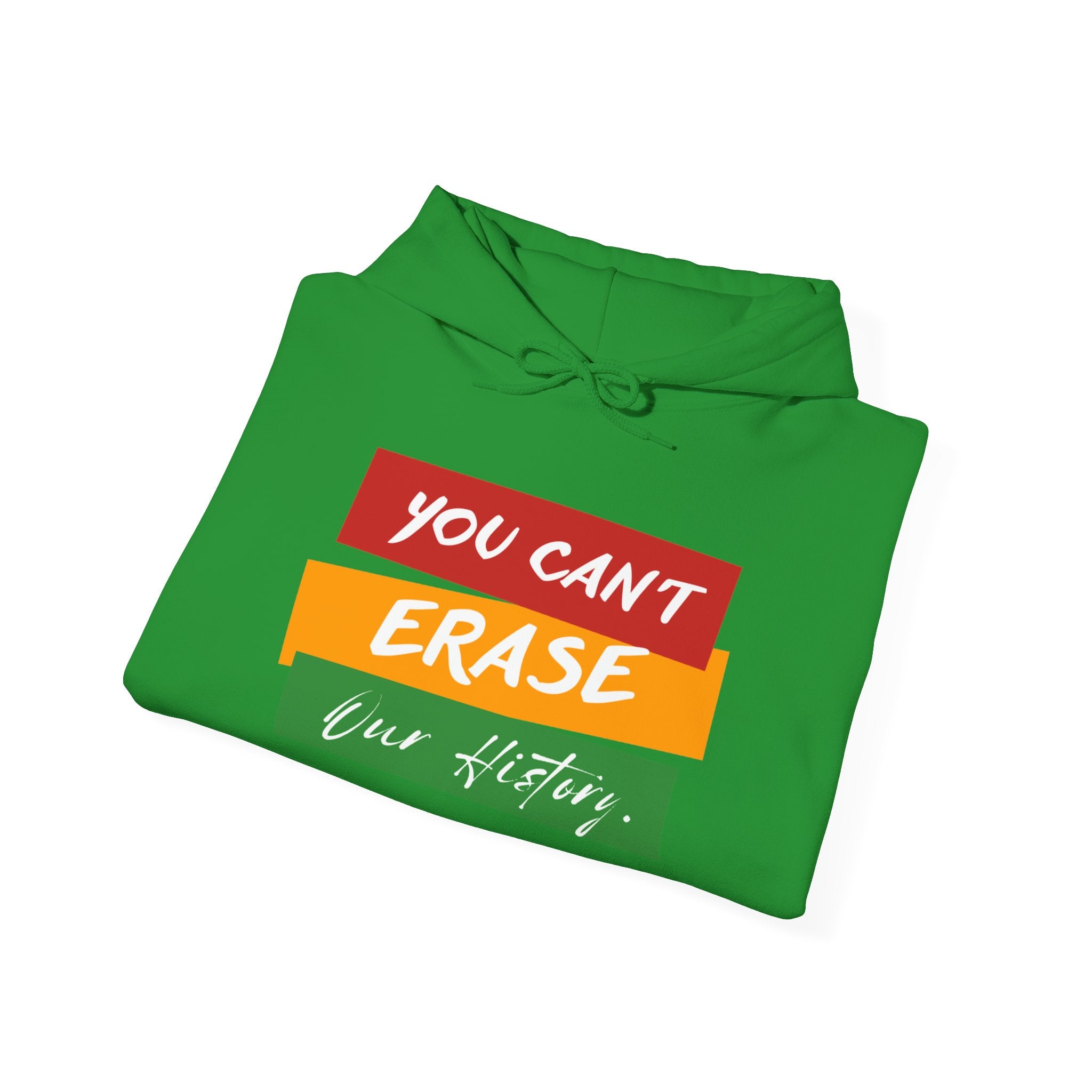 Can't Erase Our History Hoodie